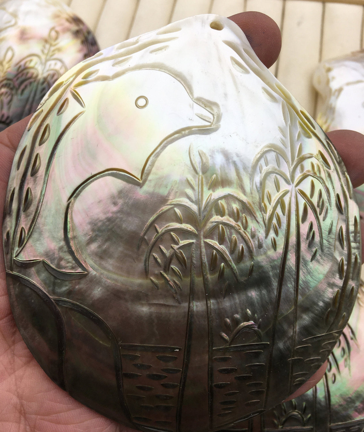 AAA 10cm Carved Tahitian blacklip mother of pearl shell natural cut,One pc,tahitian Oyster,ASH-006-5