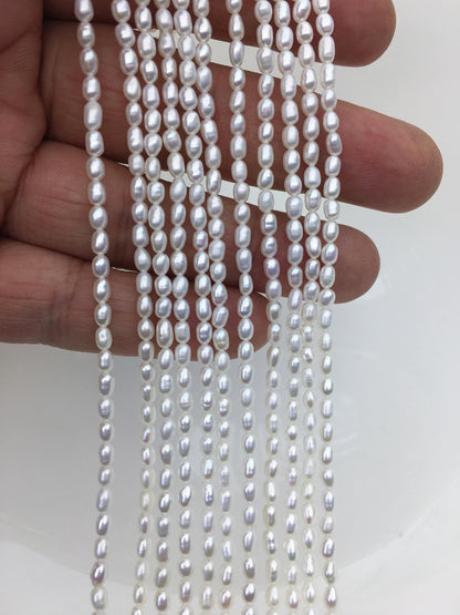 AAA 2.5-3x3-4mm white rice pearls,genuine pearl,Cultured pearl,diy pearl beads,LR2-3A-21