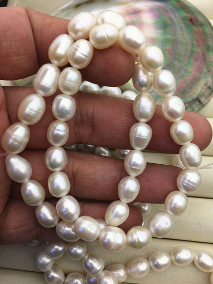 7 inchs AA+ 7.5-8.4mm white rice Freshwater pearl Elastic string Bracelet,rice pearl bracelet,B8-015
