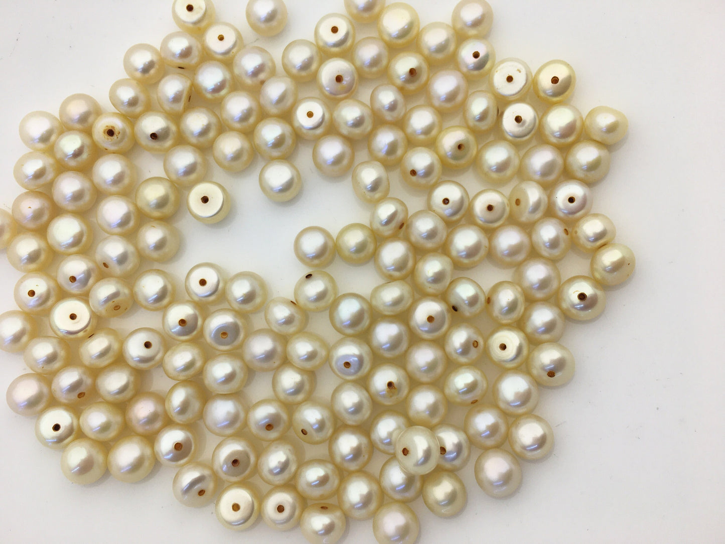 20pcs AAA 7-7.5mm light yellow button round freshwater pearl,half drilled,BTN7-T5