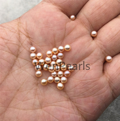 5pcs AAA 4-4.5mm pink/purple seed pearl bead,small freshwater round loose pearl wholesale,tiny pearl supply,half hole,no hole,RP4-3A-5