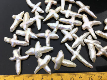 10pcs AAA 15-20mm Freshwater Pearl Loose Pearl Bead White Cross Pearl Loose Bead,no hole,ZS-100-3