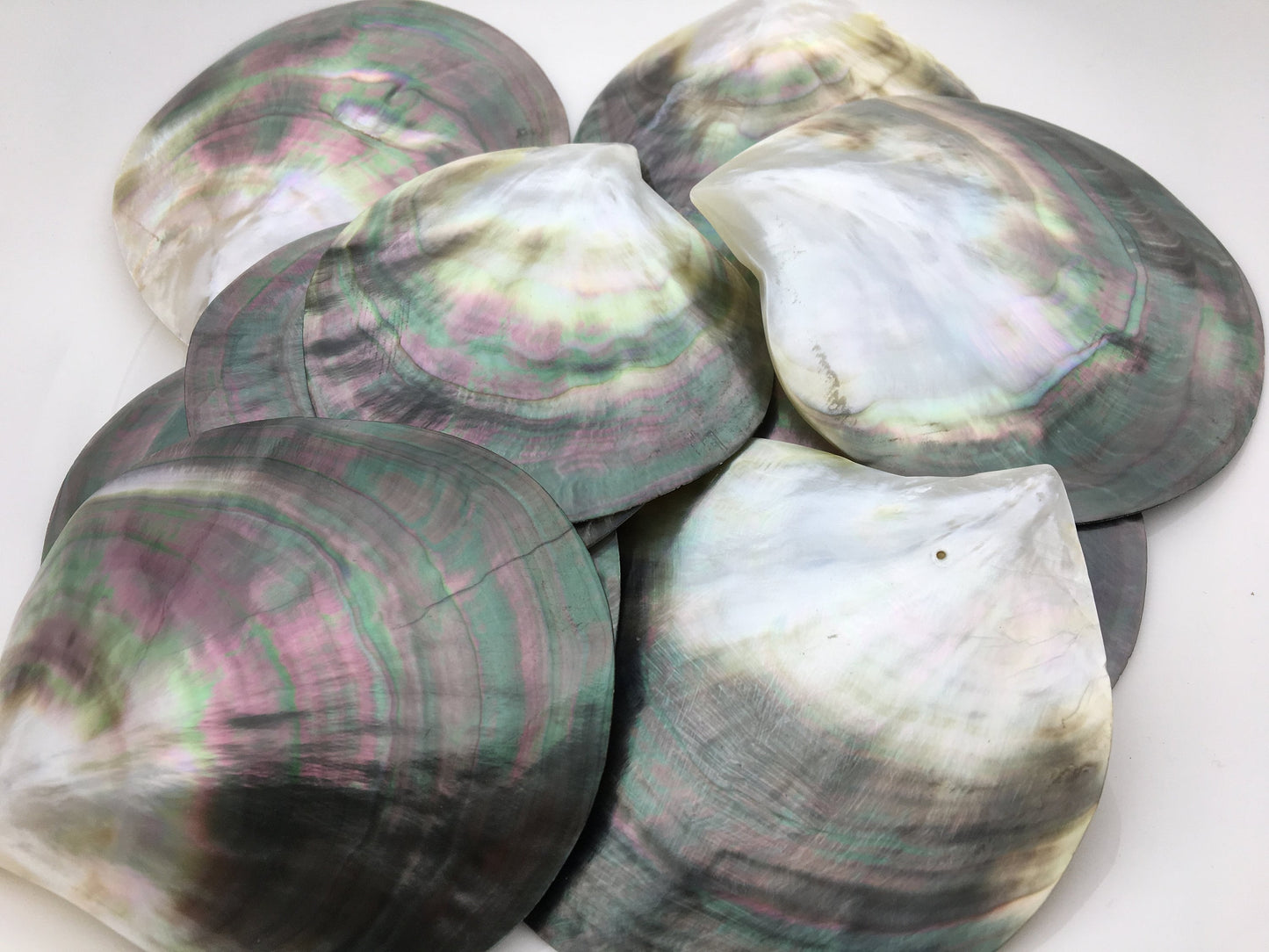 Big 9cm UP AA+ Tahitian black lip mother of pearl shell,ASH-006-4