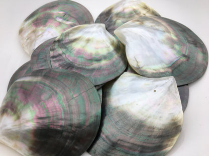 Big 9cm UP AA+ Tahitian black lip mother of pearl shell,ASH-006-4