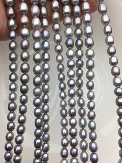 AAA+ 6.8-7.5mm*7.5-9mm gray oval freshwater pearls,Cultured white freshwater pearls beads,pearl necklace,pearl wholesale,LR7-T4