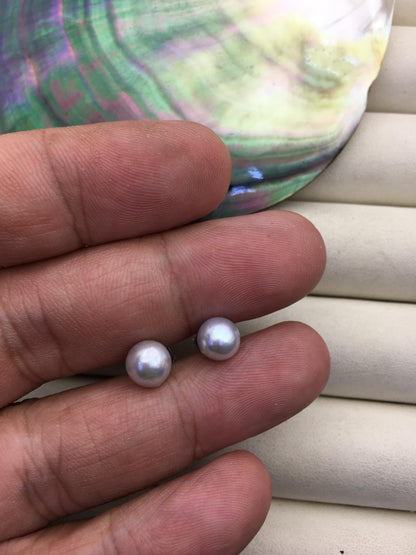AA 7-8mm gray akoya round seawater pearl stud earrings,sterling silver metal,SE3-109-18