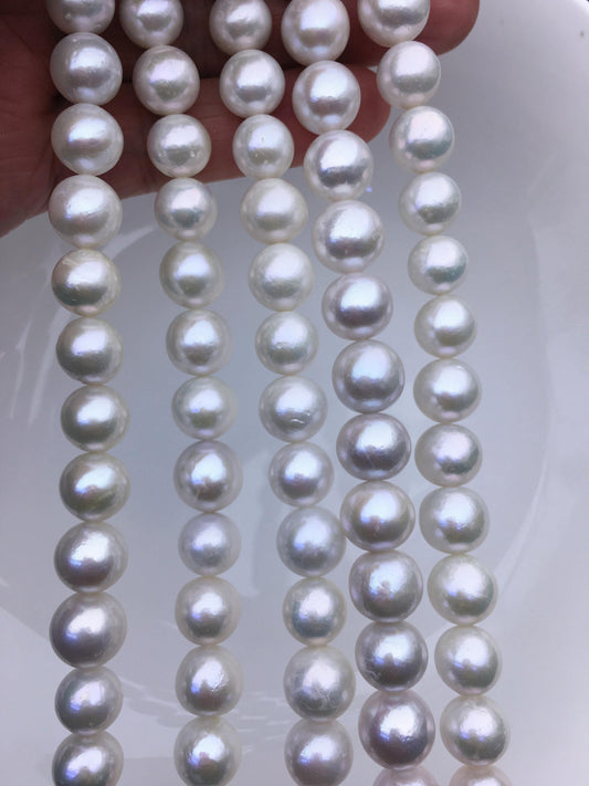 AA+ 10-12mm white near round Edison Freshwater Pearl,ED10-2A-2-68