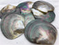 AAA big than 9cm Tahitian blacklip mother of pearl shell natural cut,One pc,tahitian Oyster,ASH-006-2