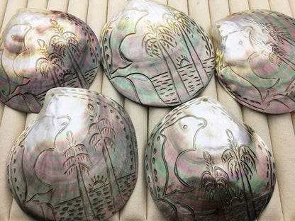 AAA 10cm Carved Tahitian blacklip mother of pearl shell natural cut,One pc,tahitian Oyster,ASH-006-5