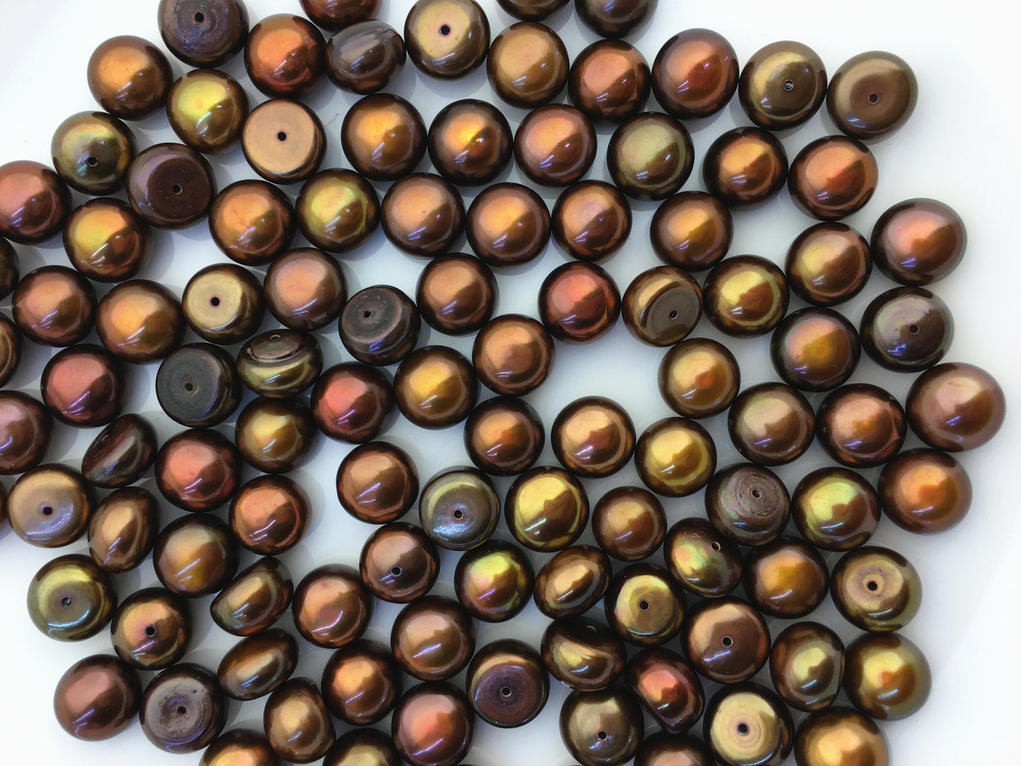 10pcs AAA 8.5-10m Brown Rainbow button round loose freshwater pearl,half hole,BTN9-T3