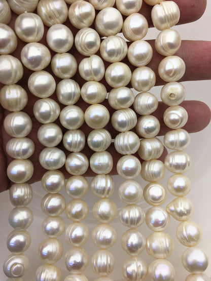 AA 10.3-11.3mm white circle ring potato freshwater pearls,CR11-2A-1