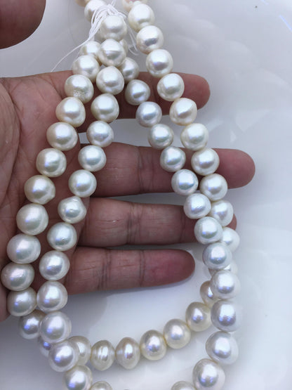 AA+ 11-13mm white button round Edison Freshwater Pearl,ED12-2A-5-25