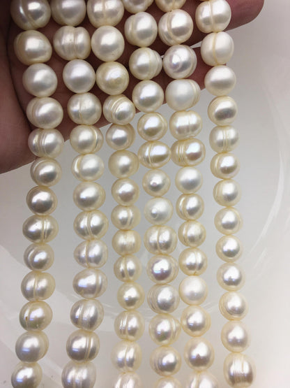 AA 10.3-11.3mm white circle ring potato freshwater pearls,CR11-2A-4