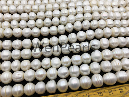 AA 11.2-12.2mm white button freshwater pearls,2mm,3mm large hole,Cultured pearl,diy pearl beads,gift for her,necklace,Christmas,SM12-2A-6