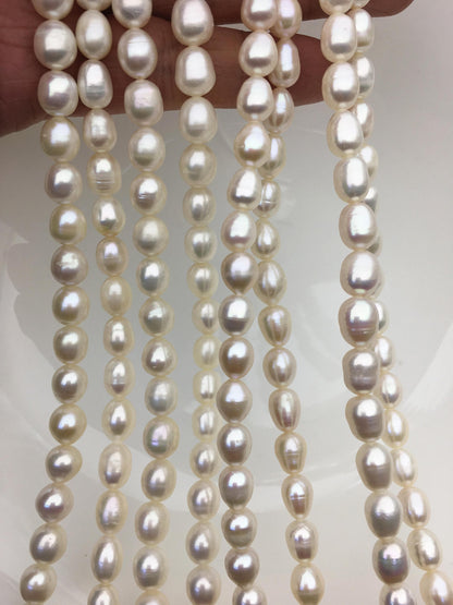 AA+ 6.3-7.2mm*7-10mm white oval rice freshwater pearls,LR7-2A-5