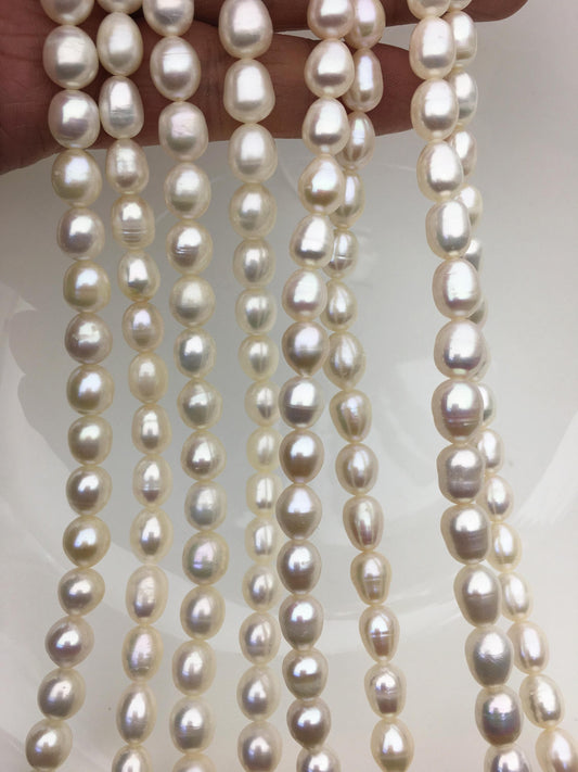 AA+ 6.3-7.2mm*7-10mm white oval rice freshwater pearls,LR7-2A-5