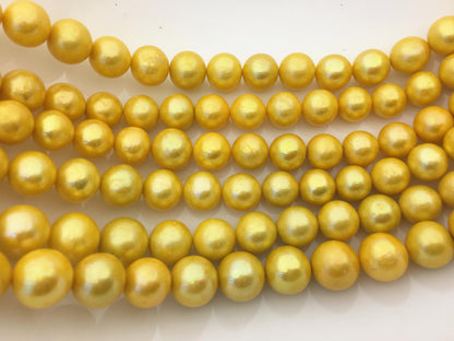 15.5'' AA 12-15mm yellow gold round baroque Edison Freshwater Pearl,ED13-2A-1