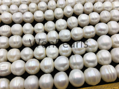 AA 11.2-12.2mm white button freshwater pearls,2mm,3mm large hole,Cultured pearl,diy pearl beads,gift for her,necklace,Christmas,SM12-2A-6