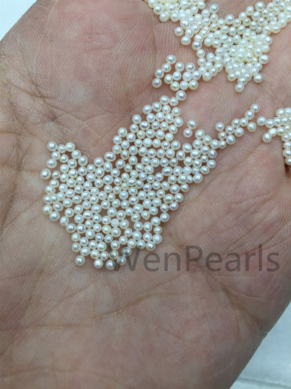 AAA 1.8-2mm white seed near round freshwater pearls,no hole,Select Quantity,tiny pearl supply,GOOD QUALITY,RP1-3A-3