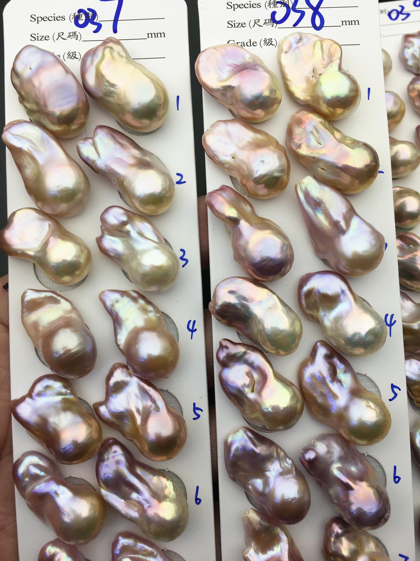 1 pair AAA 13-15mm Purple Rainbow Flame ball Pearl Pairs - large Baroque freshwater pearl pairs,Fire Ball Pearl,FL15-3A-8-8