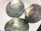 AAA big than 10cm Tahitian blacklip mother of pearl shell natural cut,One pc,tahitian Oyster,ASH-006-3