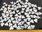 5pcs AA 11-13mm Triangle Flower White Pearl,Freshwater pearl Butterfly, for your design,Cultured Pearls Maggie Designs,ZS-17-10