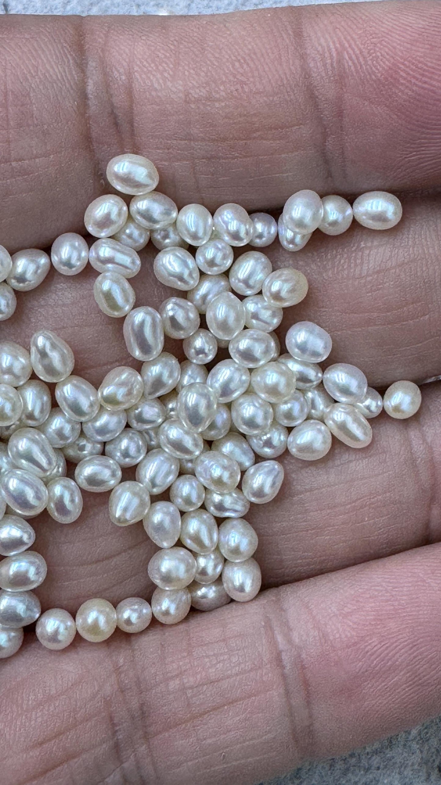 50pcs AAA 3.5-4 white rice freshwater pearls,no hole,LR3-T3