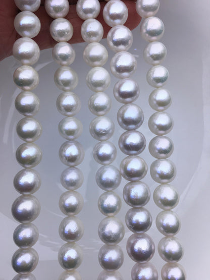 AA+ 10-12mm white near round Edison Freshwater Pearl,ED10-2A-2-68