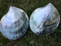 Big 9cm UP AA+ Tahitian black lip mother of pearl shell,ASH-006-4