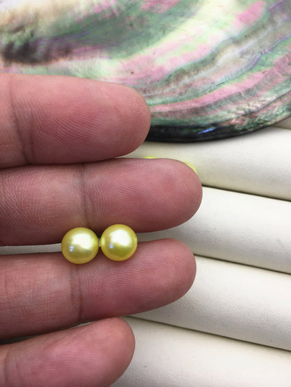 AAA 8-8.5mm yellow pearl stud earrings,Sterling Silver,SE1-015